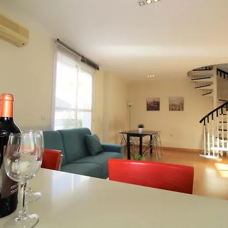 Apartment Homes Atico Larios Malaga