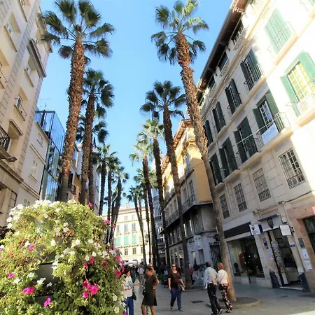 Apartment Homes Atico Larios