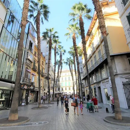 Homes Atico Larios Malaga