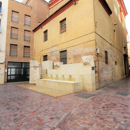 Homes Atico Larios Apartment